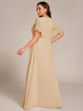 Plus Size A-Line Pleated Empire-Waist Applique Chiffon Formal Dress