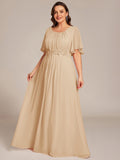 Plus Size A-Line Pleated Empire-Waist Applique Chiffon Formal Dress