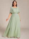 Plus Size A-Line Pleated Empire-Waist Applique Chiffon Formal Dress