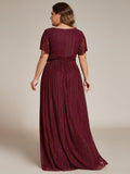 Plus Size A-Line V-Neck Short Sleeves Pleated Sparkly Formal Evening Dress