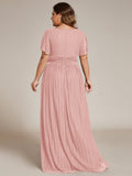 Plus Size A-Line V-Neck Short Sleeves Pleated Sparkly Formal Evening Dress