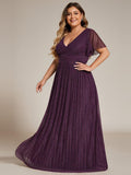 Plus Size A-Line V-Neck Short Sleeves Pleated Sparkly Formal Evening Dress